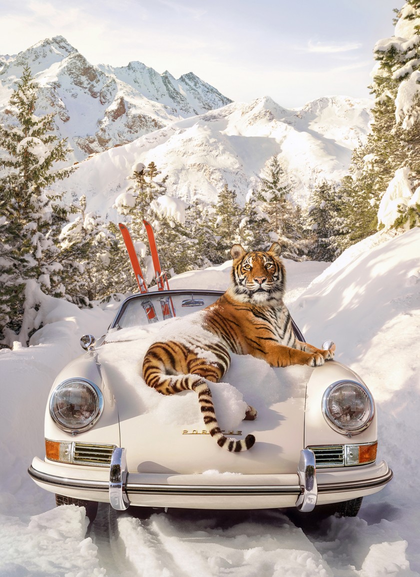 Paul Fuentes, Tiger In St. Moritz - Large Paul Fuentes, Tiger In St. Moritz - Large