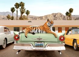 Fotografía, Tiger Motel - Large, Paul Fuentes