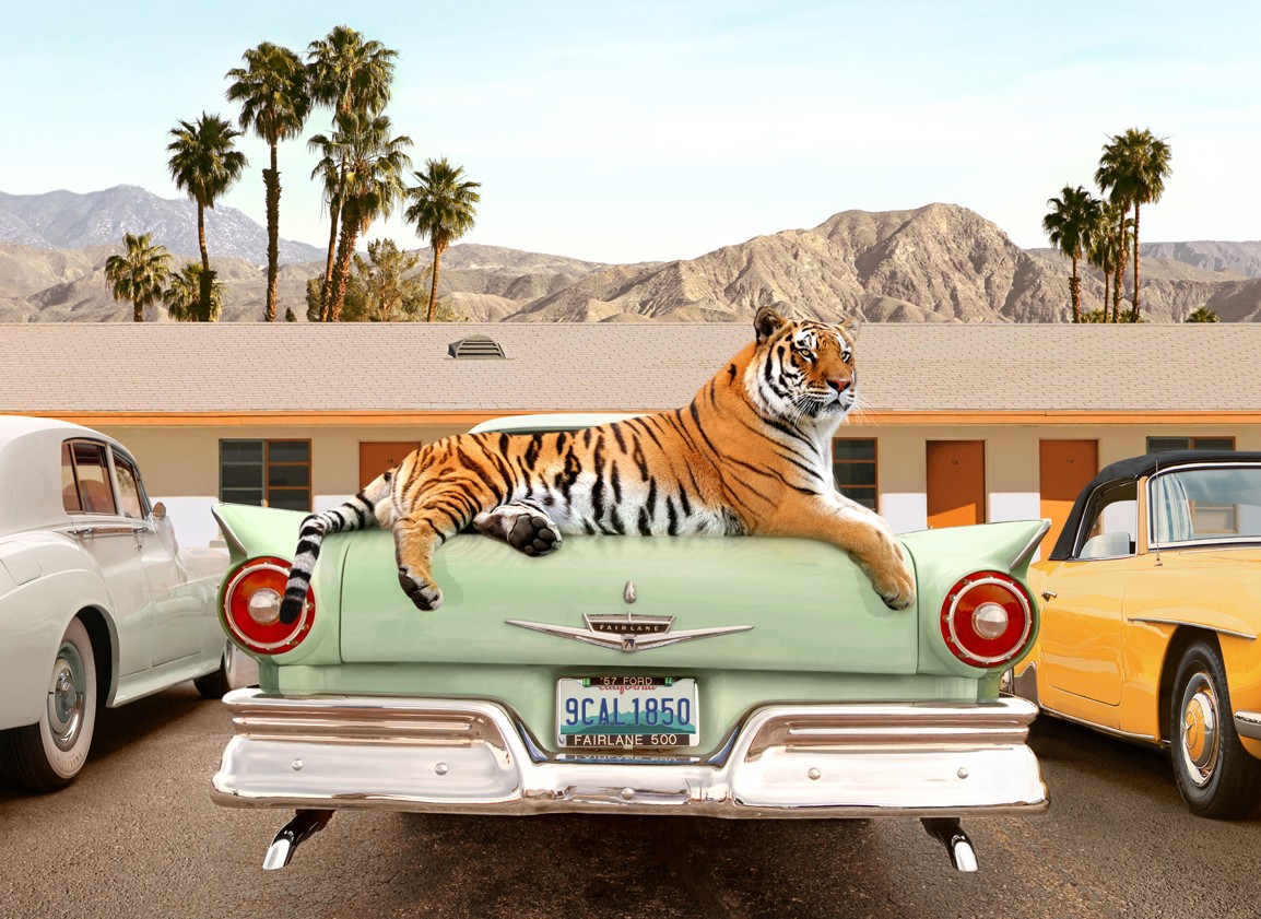 Paul Fuentes, Tiger Motel - Large Paul Fuentes, Tiger Motel - Large