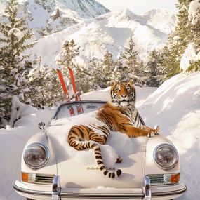 Photographie, Tiger In St. Moritz - Small, Paul Fuentes