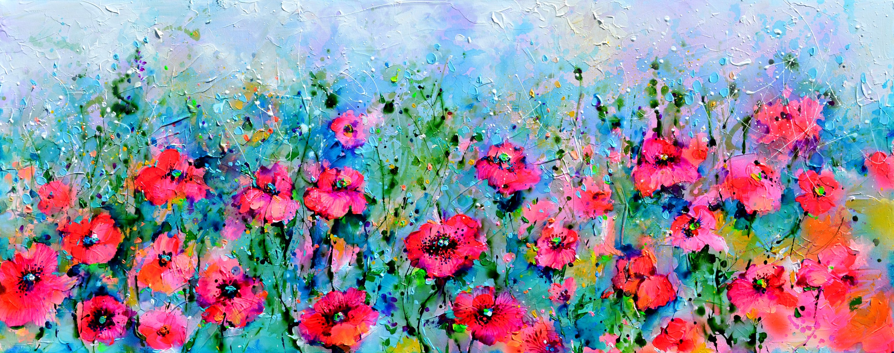 Soos Roxana, Wild Red Poppy, Poppies Field Soos Roxana, Wild Red Poppy, Poppies Field