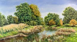 Pintura, Landscape with a pond and forest, Schagen Vita
