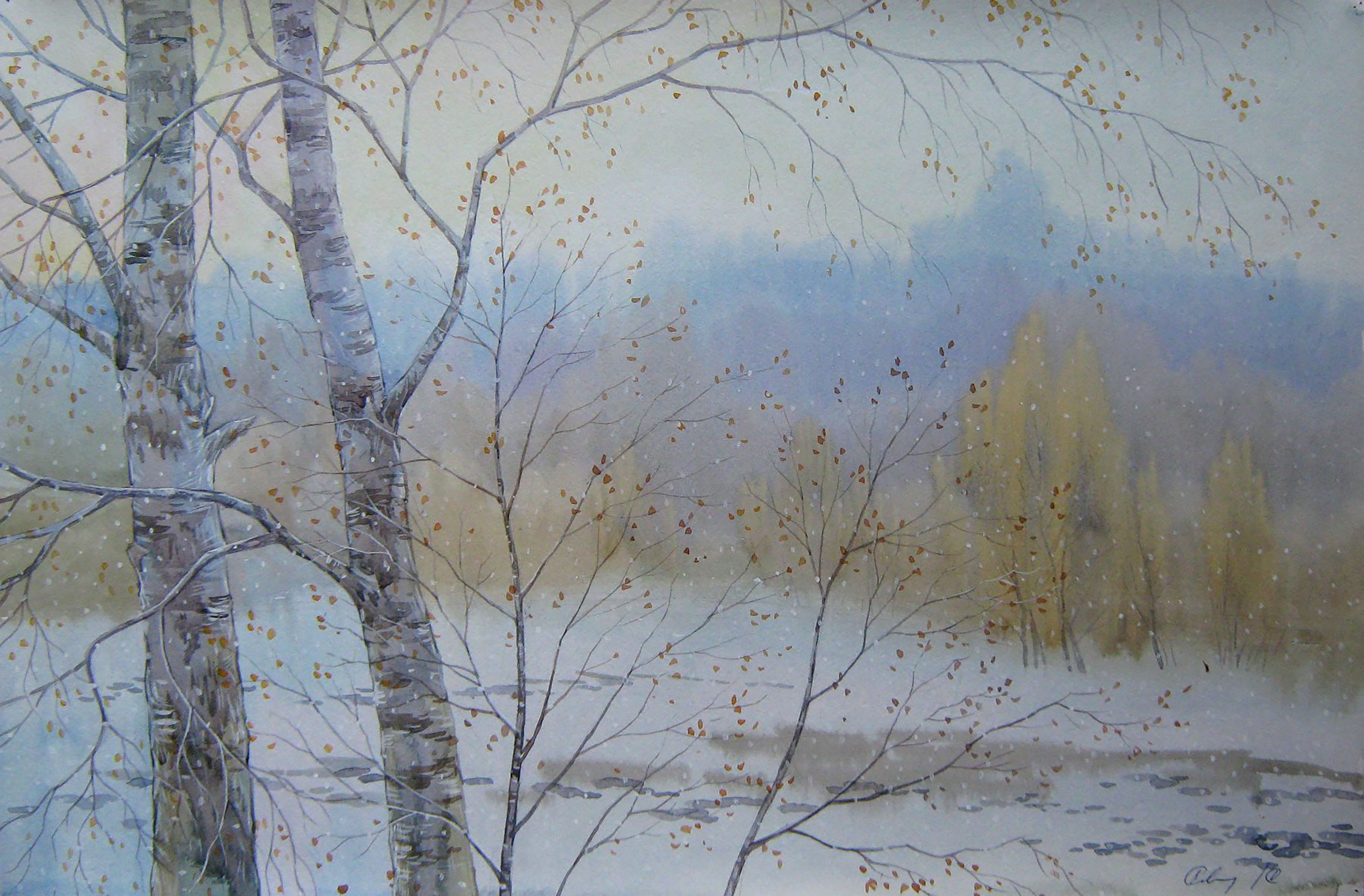 Valery Savenets, Snow Goes Valery Savenets, Snow Goes
