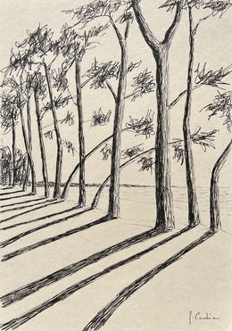 Disegno, Cap Coz, Frédéric Cadiou