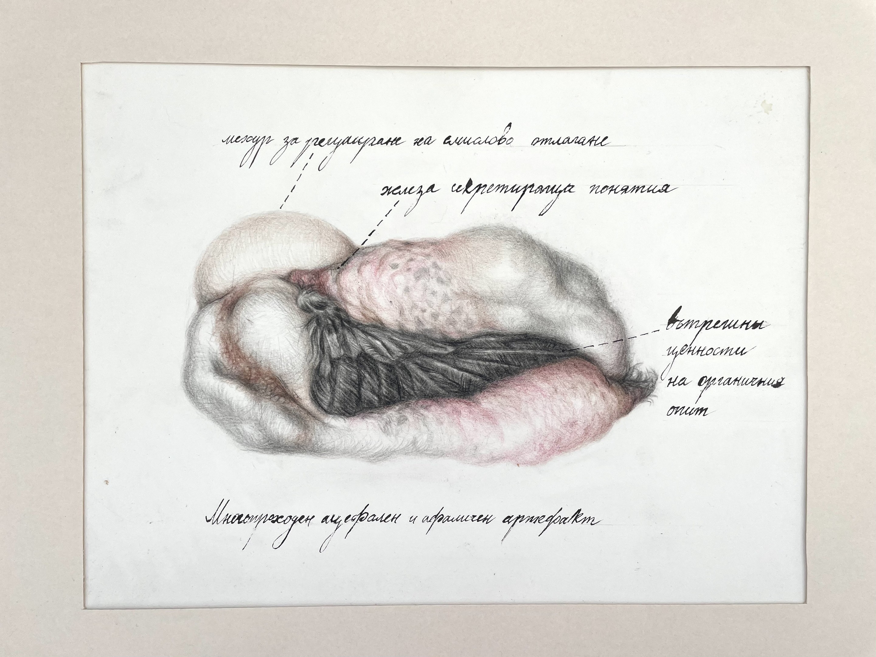 Radoslav Maglov, Multipass acephalic and aphallic artifact Radoslav Maglov, Multipass acephalic and aphallic artifact