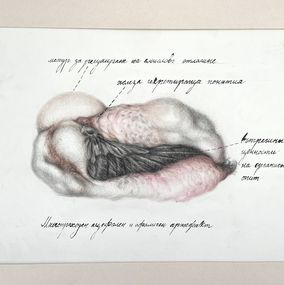 Dessin, Multipass acephalic and aphallic artifact, Radoslav Maglov