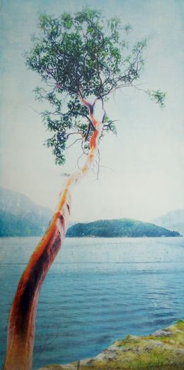 Gemälde, Sun-Seeker, Lori Bagnérès