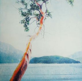 Peinture, Sun-Seeker, Lori Bagnérès