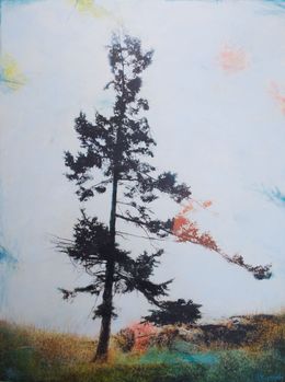Gemälde, Untamed, Lori Bagnérès