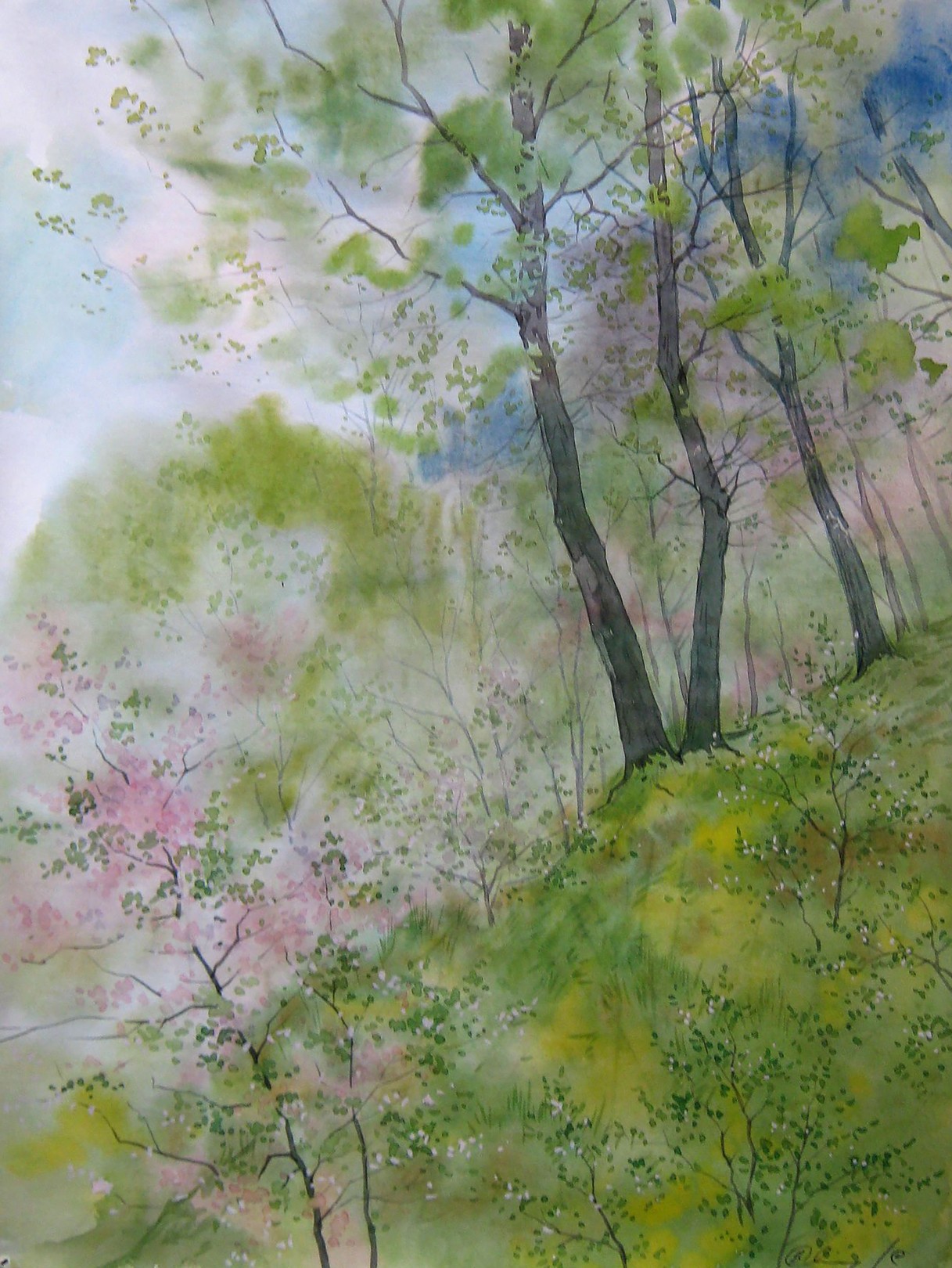 Valery Savenets, April Greens Valery Savenets, April Greens