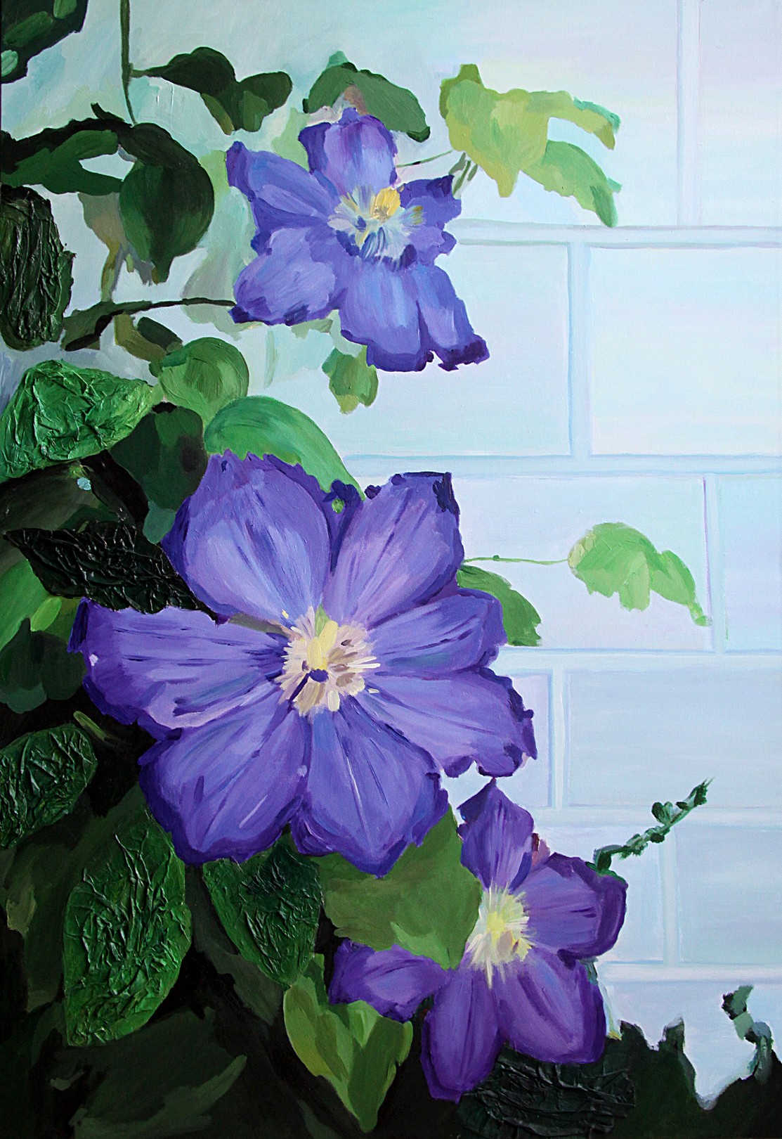 Svetlana Saratova, Clematis Svetlana Saratova, Clematis