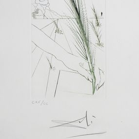 Stampe, Love's Labor's Lost, Salvador Dali