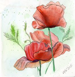Dibujo, Poppies in the field, MKate