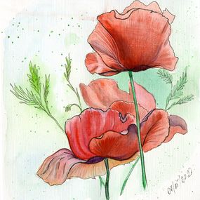 Fine Art Drawings, Poppies in the field, MKate