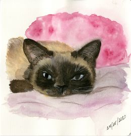 Dibujo, Grey cat, MKate