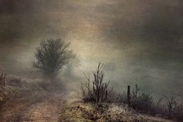 Fotografía, Plongée, Roland Avard