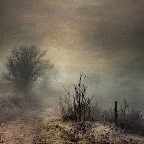 Fotografien, Plongée, Roland Avard