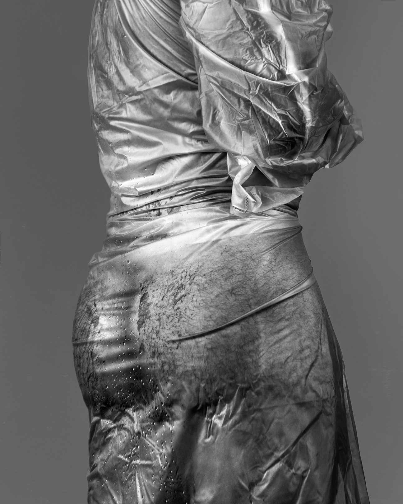 Javier Rey, Myth #3. From The Myths of Human Erectness series Javier Rey, Myth #3. From The Myths of Human Erectness series
