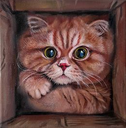 Pintura, Ginger Kitten, Julia Shilo