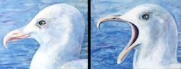Peinture, SeaGull's Cry, Aurelie Cholley