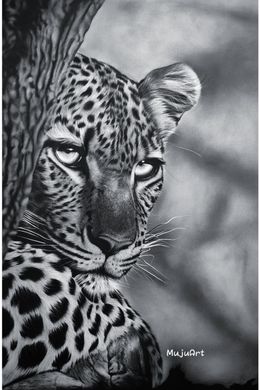 Pittura, Whisper of the Wild, Tonderai Mujuru