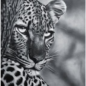 Pittura, Whisper of the Wild, Tonderai Mujuru