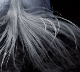 Fotografien, Saltwater Nostalgia, Amrita Bilimoria