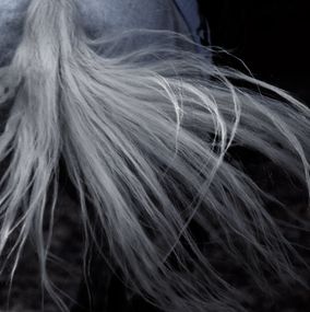 Photography, Saltwater Nostalgia, Amrita Bilimoria