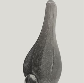 Scultura, Falling Angel, Sampson Kuvenguhwa