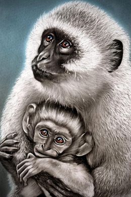 Pintura, IIlovo Monkeys, Tonderai Mujuru