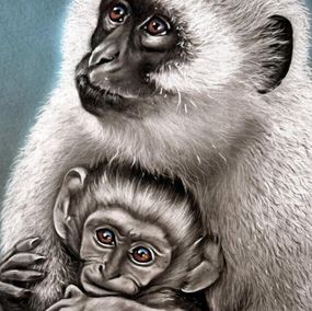 Pittura, IIlovo Monkeys, Tonderai Mujuru