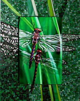 Fotografia, Dragonflies in mosaic frame, Natalie McGuire