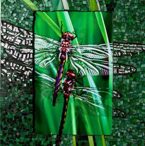 Fotografía, Dragonflies in mosaic frame, Natalie McGuire