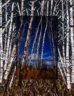 Fotografia, Forest of Birch in mosaic frame, Natalie McGuire
