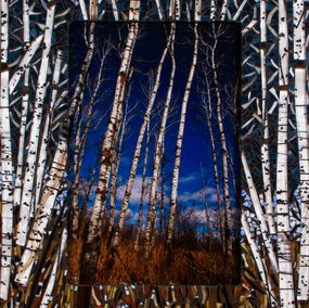 Fotografía, Forest of Birch in mosaic frame, Natalie McGuire