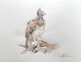 Pittura, Eagle Bird, Artyom Abrahamyan