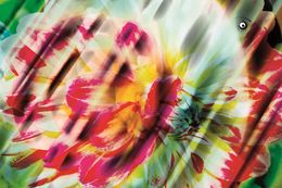 Photographie, Le sens de la vie, Eric Dujols