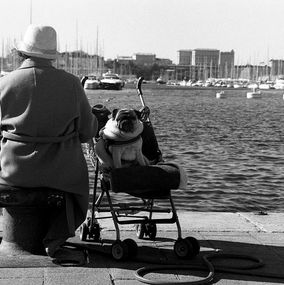 Photography, Doggy Back, Samzaï