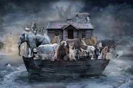 Édition, In Search of Safe Harbour, Marcin Owczarek