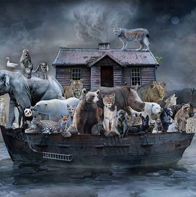 Drucke, In Search of Safe Harbour, Marcin Owczarek
