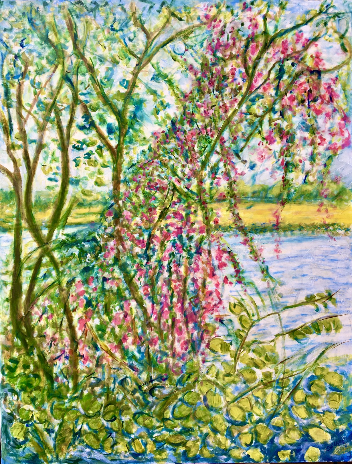 Catherine Clare, Wild climbing roses Catherine Clare, Wild climbing roses