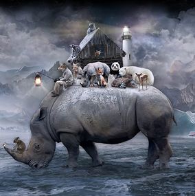 Drucke, Shelter, Marcin Owczarek