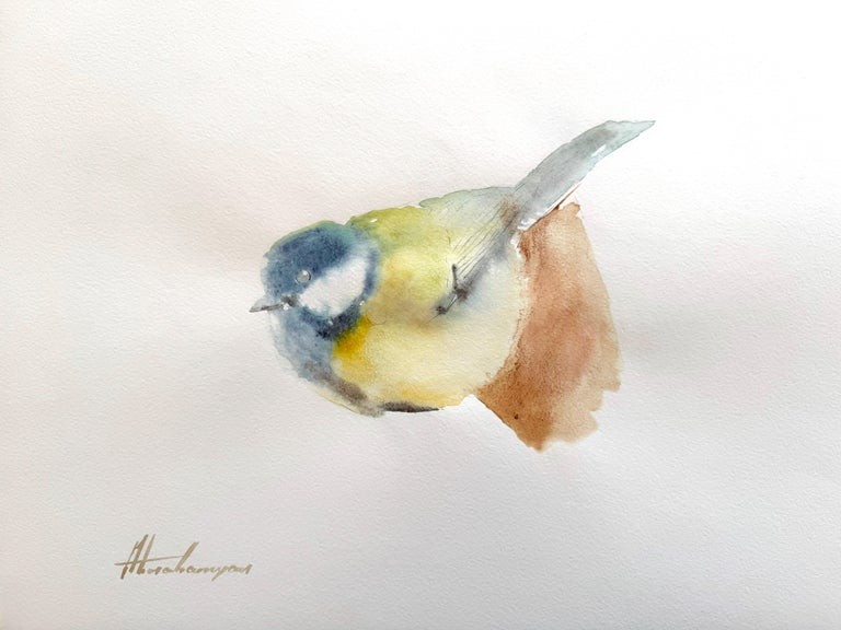 Artyom Abrahamyan, Great Tit Artyom Abrahamyan, Great Tit