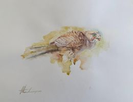 Painting, Hawk, Artyom Abrahamyan