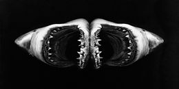 Drucke, Double Shark, Robert Longo