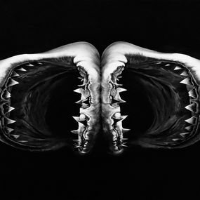 Print, Double Shark, Robert Longo