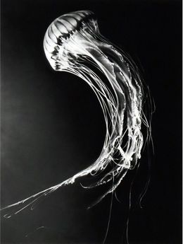 Drucke, Rumi, Robert Longo