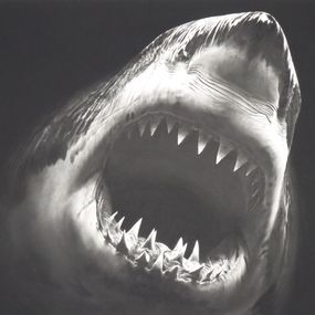 Stampe, Bruce, Robert Longo