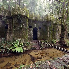 Photographie, Forteresse oubliée – Le château dans les bois, Lauric Gourbal