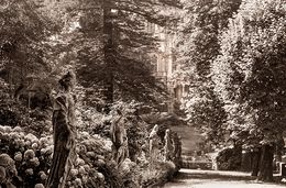 Photography, Sintra Garden, Richard Dunkley